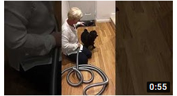 animal care central vacuum video